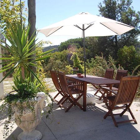 A Perfect Villa With Pool Terrace And Garden Alcobaca Exterior photo
