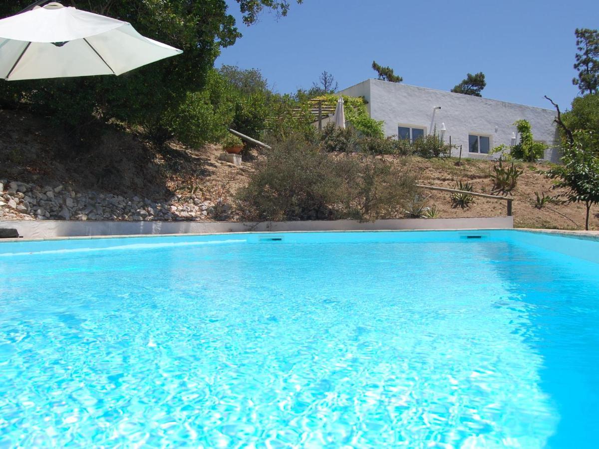 A Perfect Villa With Pool Terrace And Garden Alcobaca Exterior photo