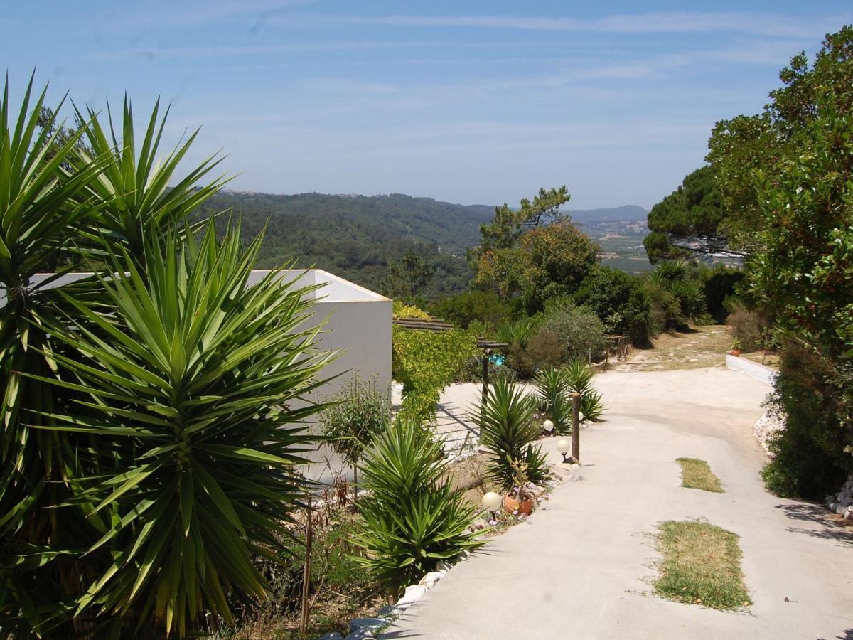 A Perfect Villa With Pool Terrace And Garden Alcobaca Exterior photo