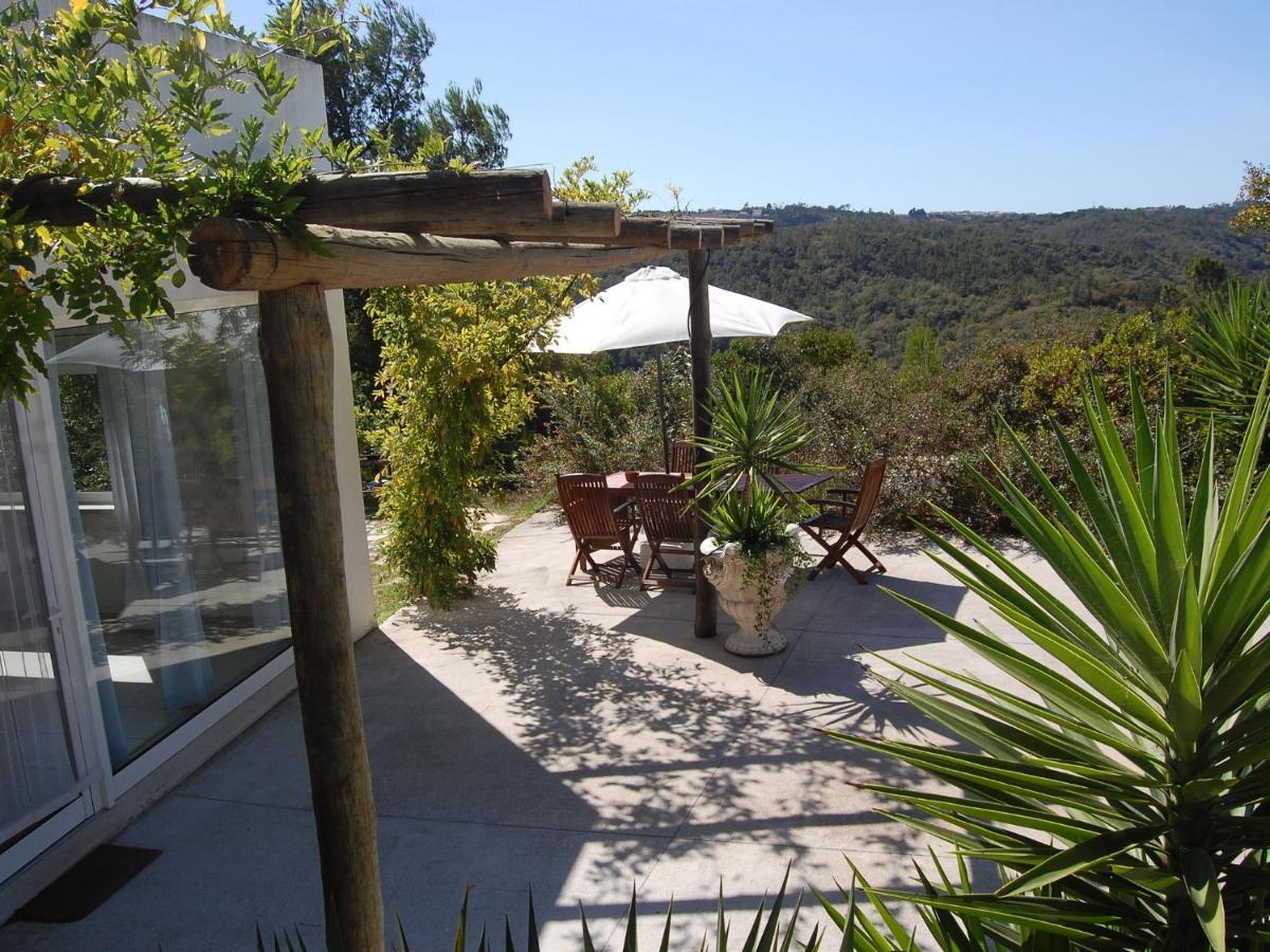A Perfect Villa With Pool Terrace And Garden Alcobaca Exterior photo