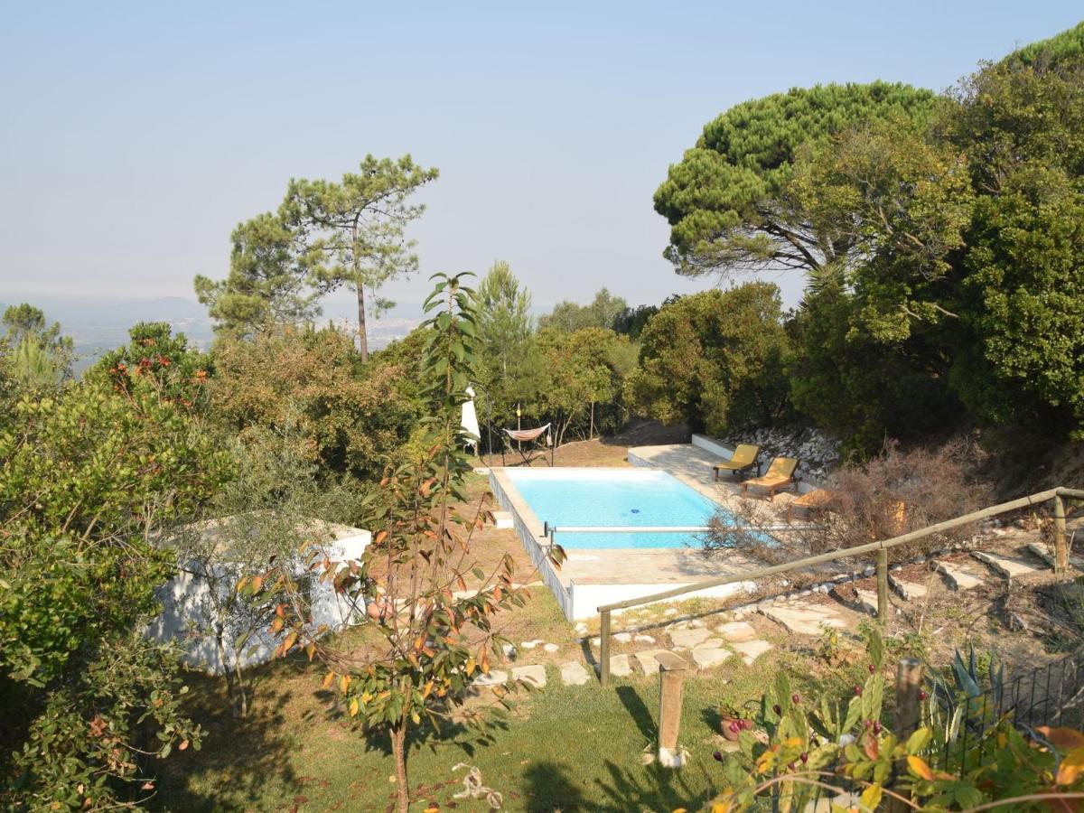 A Perfect Villa With Pool Terrace And Garden Alcobaca Exterior photo