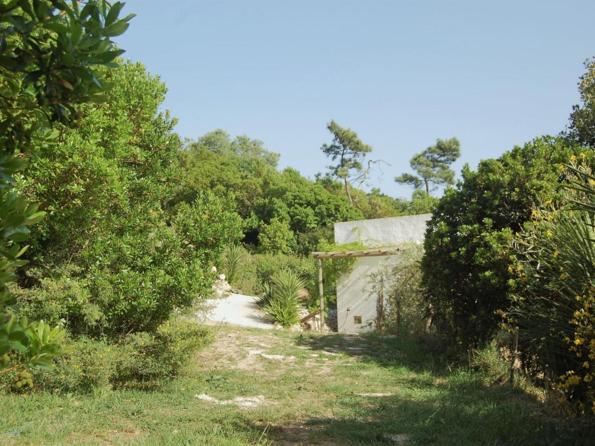 A Perfect Villa With Pool Terrace And Garden Alcobaca Exterior photo